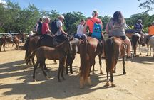 Horseback and ATV Ride with Monkey and Sloth in Roatan