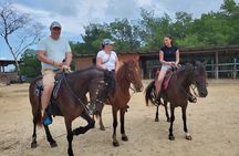 Horseback and ATV Ride with Monkey and Sloth in Roatan