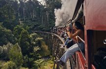 Puffing Billy & Rainforest Tour from Melbourne