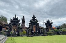 Celukan Bawang Day Tour (all-inclusive)