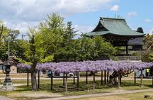 Kanazawa Tonami Tulips and UNESCO Gokayama