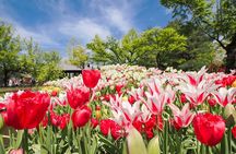 Kanazawa Tonami Tulips and UNESCO Gokayama