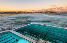 PRIVATE Essential Sydney City Tour (4 Hours)