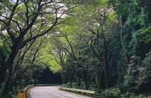 Private 1 Day Tour to Mt Fuji and Hakone: Onsen, Arts and Nature