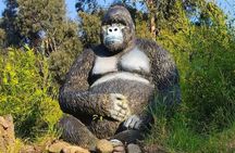 Rwanda One Day Gorilla Trekking with Iby’iwacu Culture Visit