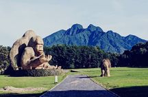 Rwanda One Day Gorilla Trekking with Iby’iwacu Culture Visit