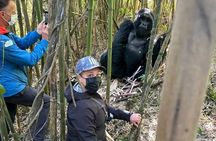 Rwanda One Day Gorilla Trekking in Volcanoes National Park