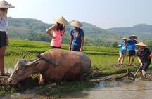 Living Land Experience and Kuang Si water with Lunch 