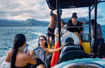 Turtle Canyon Snorkel Adventure - Small Group 6 Passengers