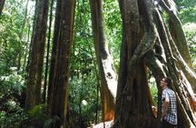 Jungle Experience: 1 Day Trek in Nam Ha NPA