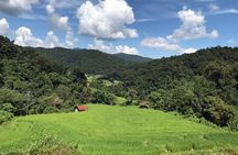 Chiang Mai Doi Inthanon National Park Day Tour