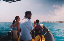 Private Turtle Canyon Snorkel Tour - Up to 6 Passengers