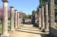 Skip the Lines Olympia and Free Olive Oil Tasting Tour