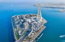  The World's Tallest Observation Wheel Entry Ticket in Ain Dubai