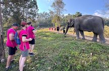 Chiang Mai Elephant Watch and Wang River Rafting