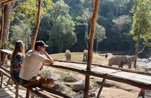 Chiang Mai Elephant Watch and Wang River Rafting