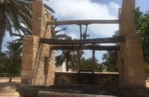 Djerba Tunisia Guided Tour To The Crocodiles Park