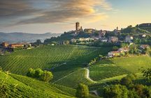 Barolo & Barbaresco Wine Tasting Tour–Alba & Piedmont from Milan