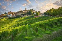 Barolo & Barbaresco Wine Tasting Tour–Alba & Piedmont from Milan