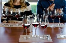 Barolo & Barbaresco Wine Tasting Tour–Alba & Piedmont from Milan