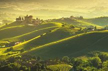 Barolo & Barbaresco Wine Tasting Tour–Alba & Piedmont from Milan
