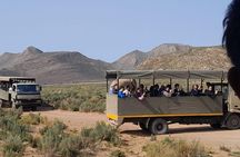 from cape town Aquila game reserve Sunset Safari Drive Exclusive