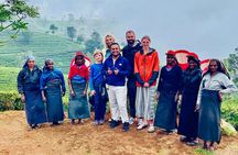 Uncover Sri Lanka for 10 Days Journey Through Culture and Nature
