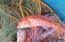 Chania Fishing with Nets Catch and Cook with a Local Fisherman