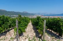 Wine Tasting and Food Pairing - Where Zinfandel Was Born