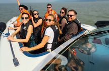 Elephanta Island Private Speedboat Tour from Mumbai - 6pax