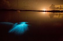 Unforgettable One Day Bioluminescent Kayak Adventure in Vieques