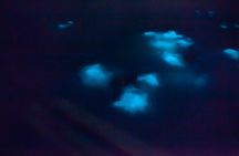 Unforgettable One Day Bioluminescent Kayak Adventure in Vieques