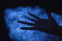 Unforgettable One Day Bioluminescent Kayak Adventure in Vieques