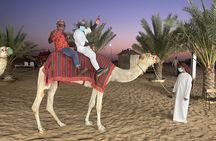 Dubai Evening Desert Safari Adventure
