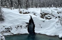 Lake Louise, Moraine Lake, Emerald Lake and Johnston Canyon Tour