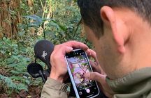 Guided Hike in the Monteverde Cloud Forest