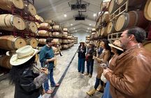 2 to 5 Guests Fredericksburg Private Mercedes SUV Wine Tour