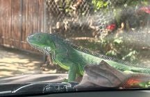 Private Day Trip to Mazunte and Zipolite 