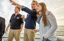 Whale and Wildlife Yacht Cruise in Santa Barbara
