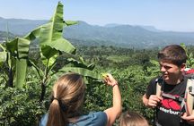 Sipi Falls and Sisiyi Falls Walking Tour