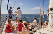 Private Sunset Sailing Cruise in Puerto Vallarta