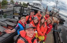 4 Hour Whale and Wildlife tour