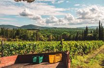 Chianti family owned organic wine tasting