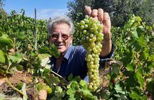 Chianti family owned organic wine tasting