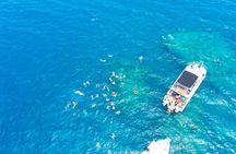 Beachcomber Island Escape - A Perfect Day in Paradise 