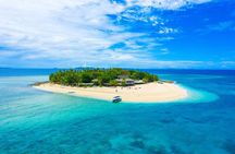 Beachcomber Island Escape - A Perfect Day in Paradise 