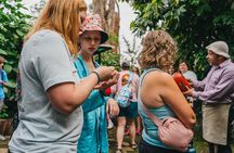 Britt Classic Coffee Tour