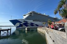 Blarney, Kinsale & Cork – Full-Day Private Tour from Cobh Port