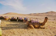 Marrakech: Camel Ride & Sunset & Dinner Under the Stars In Agafay