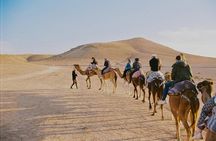 Marrakech: Camel Ride, Sunset & Dinner Show In Agafay Desert 
